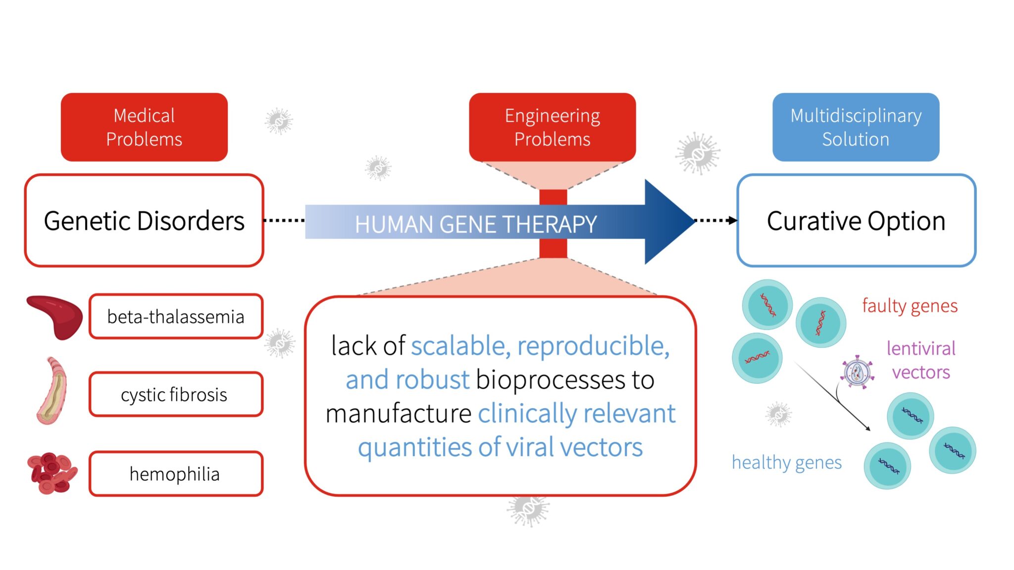 Large-scale Production of Viral Vectors for Human Gene Therapy