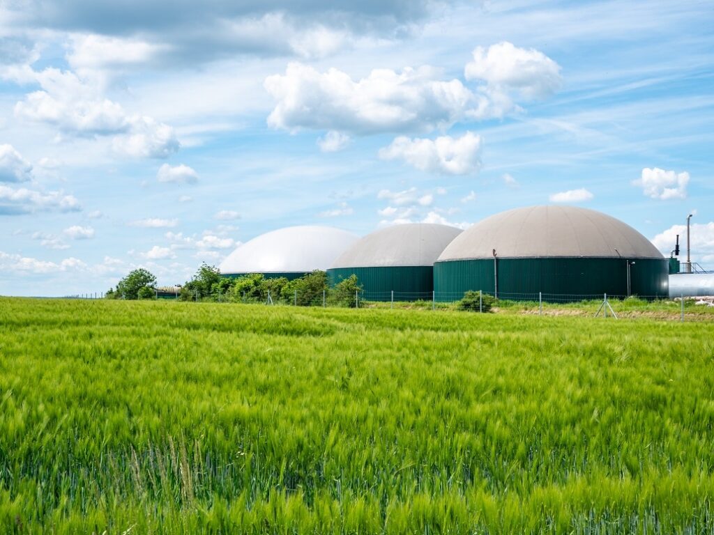 Biogas Production Process From Medium Sized Dairy Farms Engineering   Plant 1024x768 